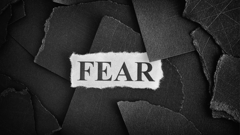 「怖い」の解剖新書